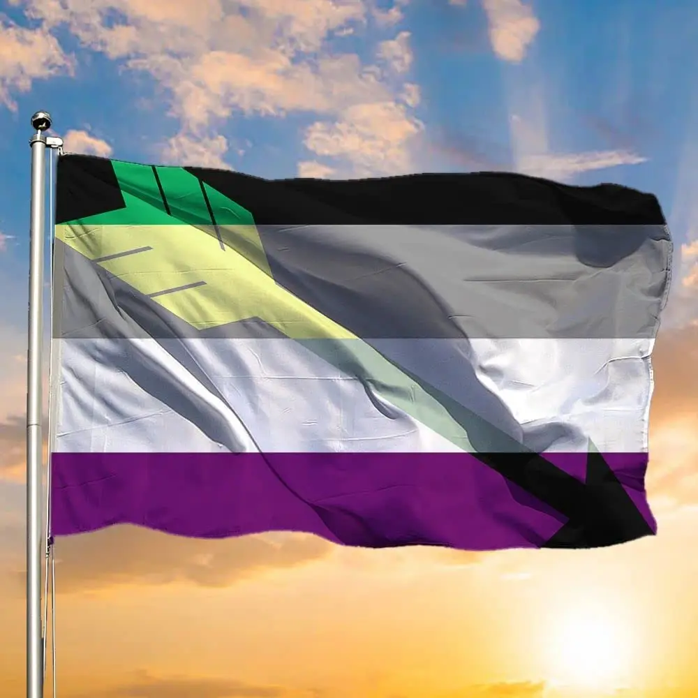 Flagnshow 100% Polyester Aroace Flag Arrow Aromantic Asexual Pride Flags