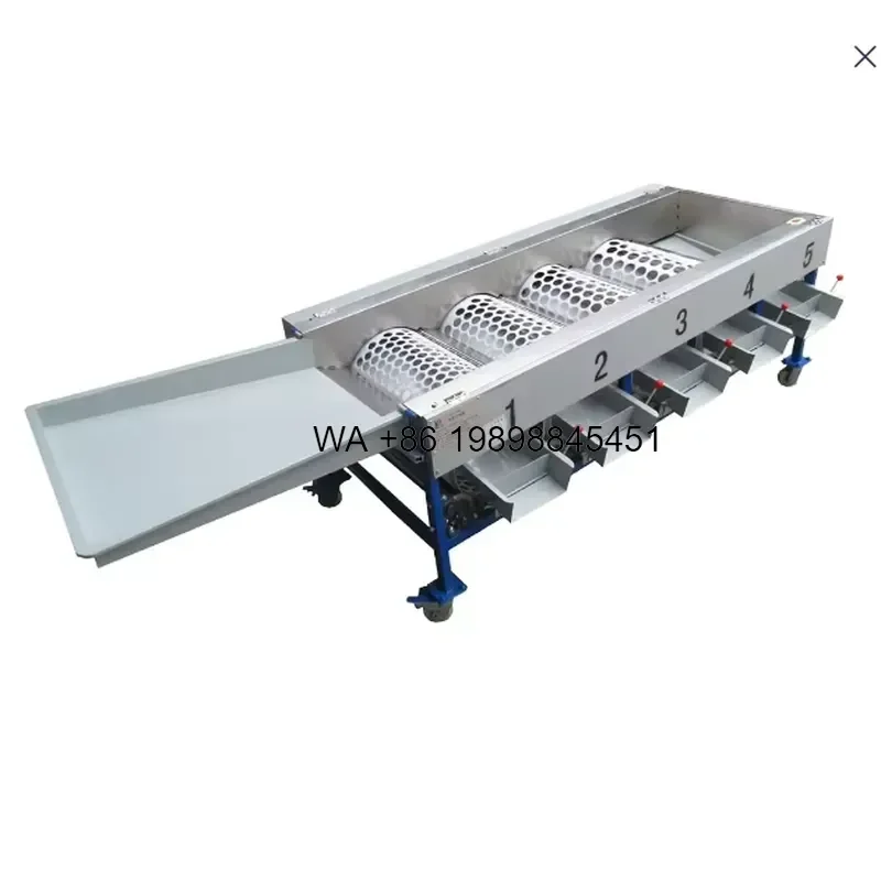 Wmwmnu Heavy Duty Belt Sorting Grader for Orange Blueberry with PLC Control