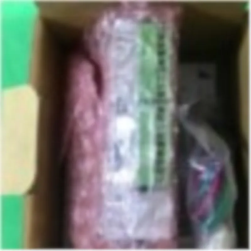 Nuovo originale DVP04PT-S e