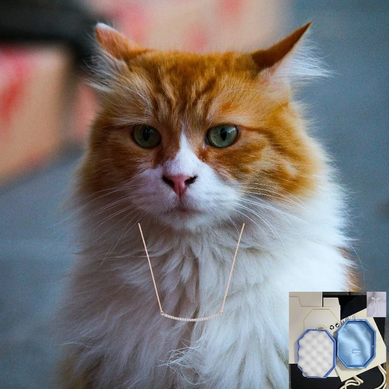 Weitei: Elegante Schmuckstücke für Katzenliebhaber