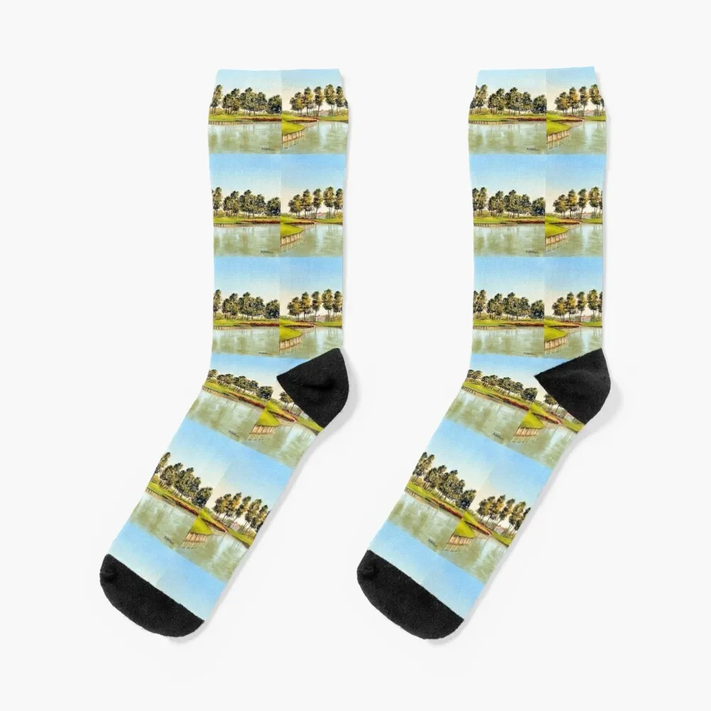 

Sawgrass Golf Course Hole 17 Socks japanese fashion gift hiking Stockings Socks Men's Women's
