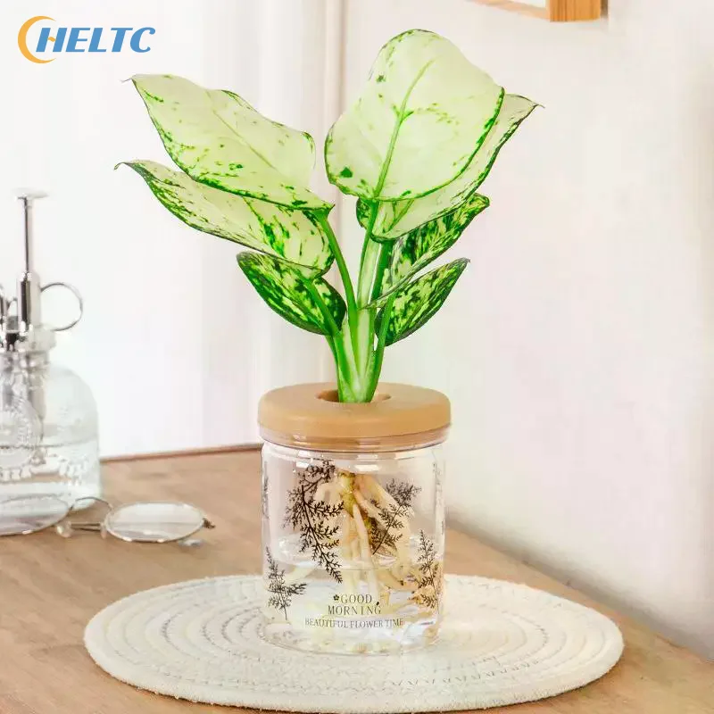 Clear Hydroponic Pot Water Planting Vase Stylish Propagation Pot Container Aquaponic Planter Decor