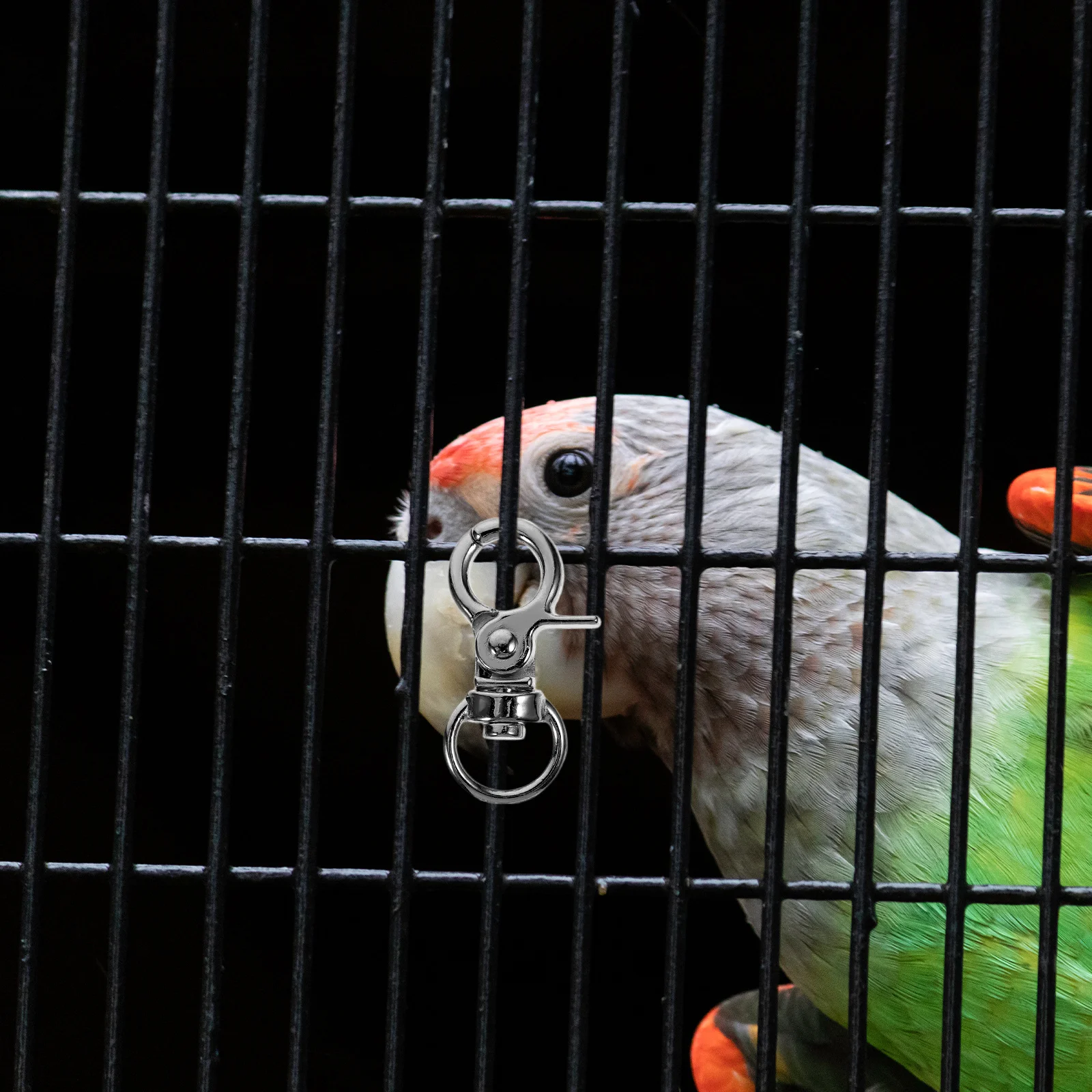 

10Pcs Sturdy Metal Bird Cage Lock Buckles Anti-Escape Parrot Cages Accessories Easy Install Pet Birdcage Door Safety