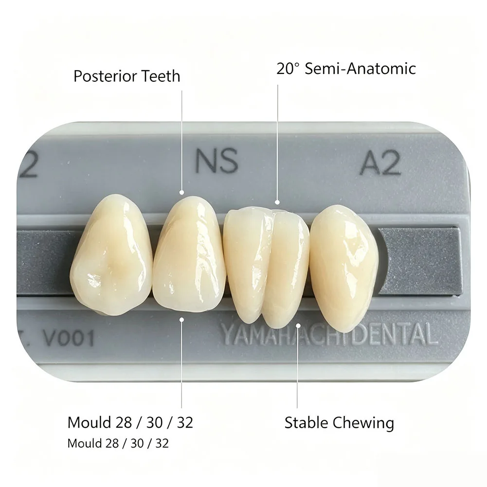 Japan YAMAHACHI NS Hard Acrylic Resin Teeth A2 Shade 28Pcs/Set Dental Full Complete Denture S/M/L Prosthesis Artificial Teeth