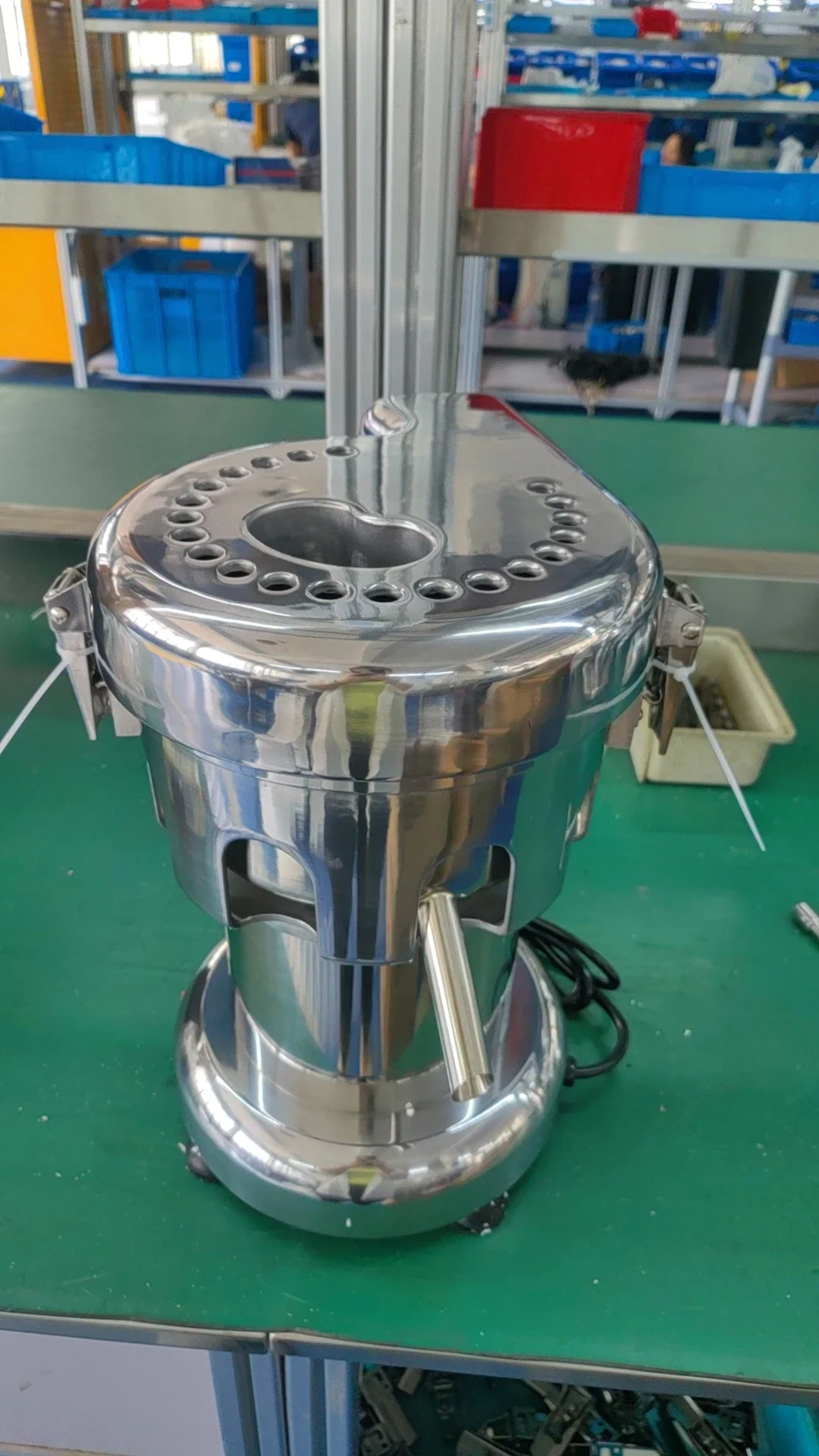 Fruit Juice Extractor 80-100kg/h Output with Reliable Motor for Restaurants Food Shops Home Use - Commercial Grade Engine