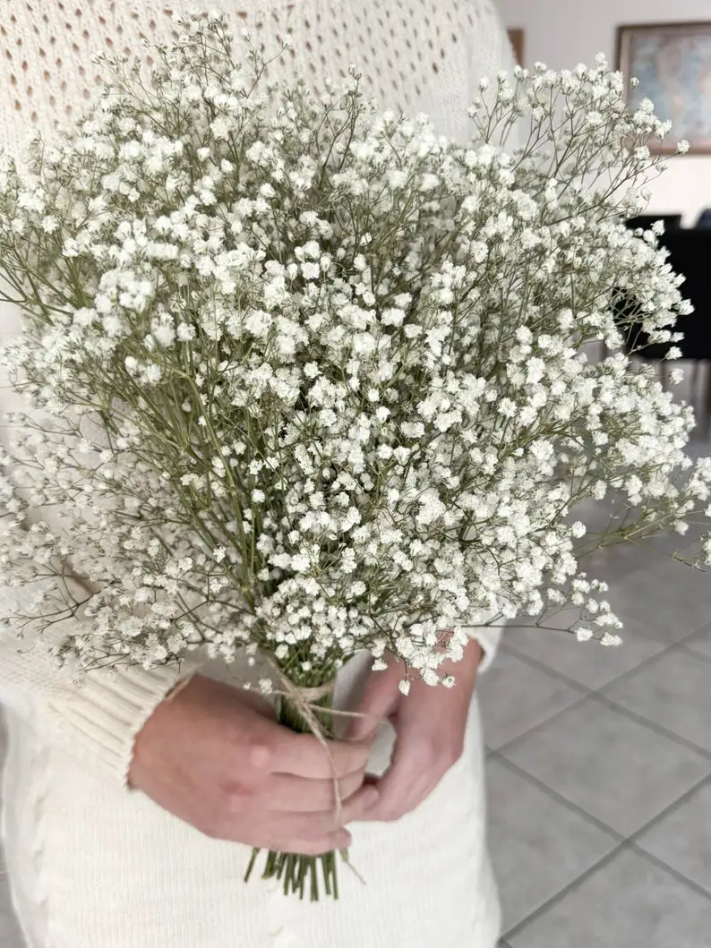 Натуральные сушеные цветы гипсофилы, свадебные украшения, композиция, настоящее детское дыхание, консервированные цветы, букет Hoom, Рождественский декор Натуральные сушеные цветы гипсофилы, свадебные украшения, композиция, настоящее детское дыхание, консервированные цветы, букет Hoom, Рождественский декор