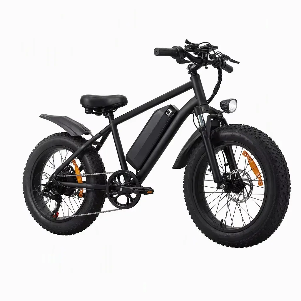 750W Nominal 1000W Peak Fat Tire Electric Bike 48V 15Ah Removable Battery 20" All‑Terrain Dual Suspension Mountain Ebike for Adults