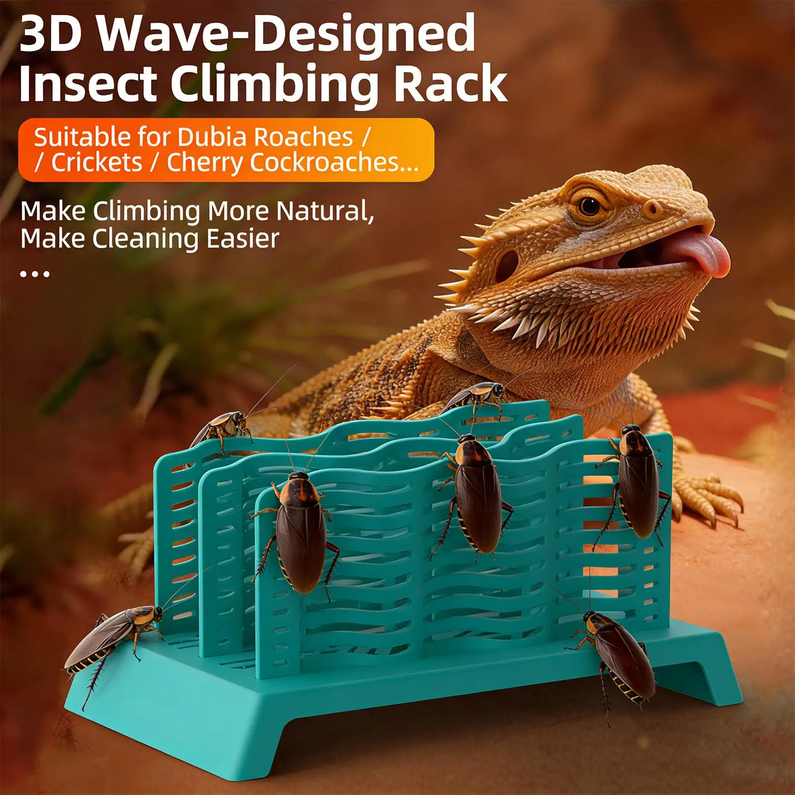 Plato de Comida para Reptiles, Plato Anti-Escape para Reptiles, Comedero para Gusanos, Caja de Alimentación para Lagartos y Anfibios, Accesorios para Acuarios