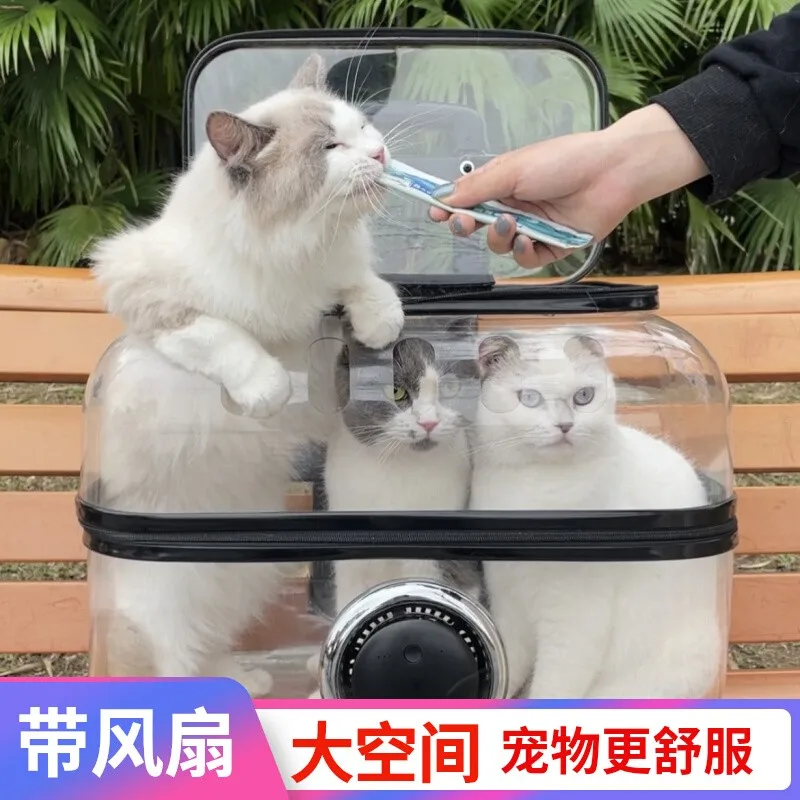 Miniatury - zdjęcie 3