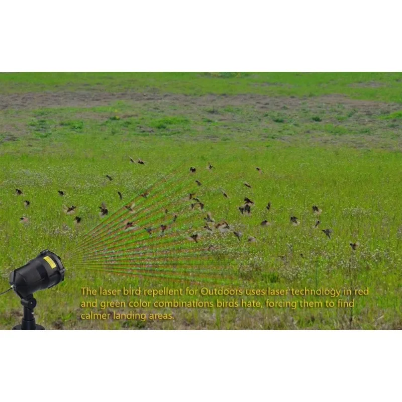 شنتشن بالجملة الحيوان التحكم الطيور رادع ضوء الليزر جهاز مقاوم للماء IP65 RF التحكم عن بعد