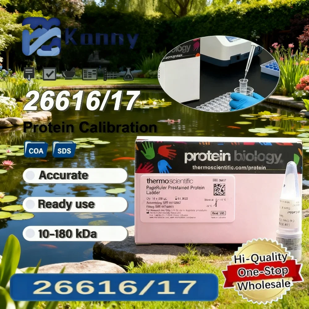 Thermo 26616/17 Scientific Prestained Protein Ladder 10–180kda Sds Page Protein Marker For Molecular Weight Calibration Standard