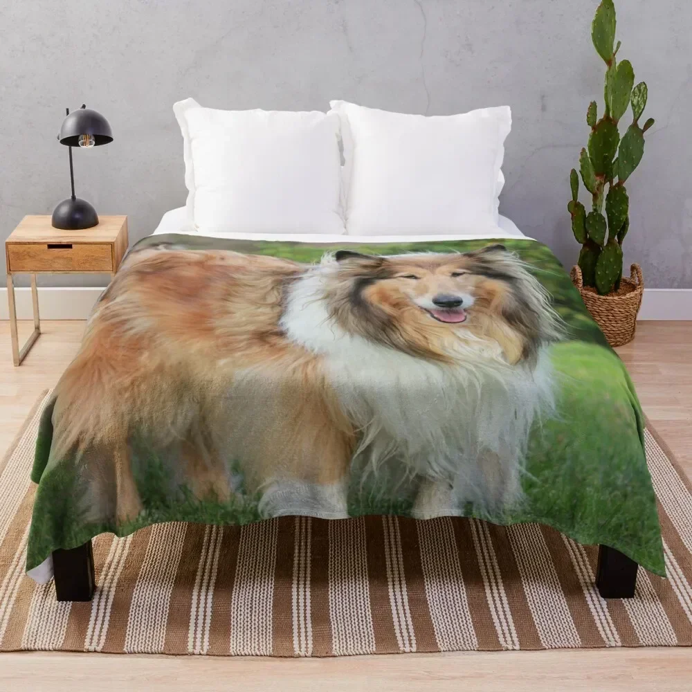 

Sable Rough Collie Throw Blanket Compact Warm Blanket for Car Road Trip
