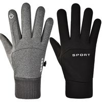 Windproof Warm Non-slip Touch Screen Waterproof Fleece Sports Mittens Motorbike Gloves Cycling Accessory Men's Gloves