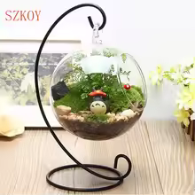 Clear Glass Ball Vase
