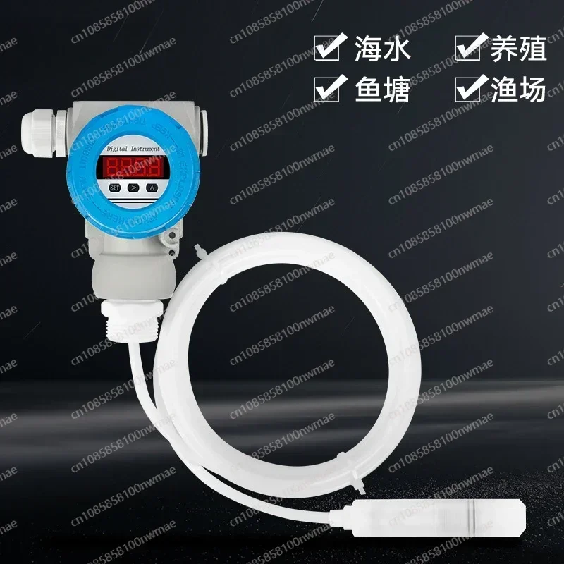 Throw-in Anti-corrosion Liquid Level Transmitter Wear-resistant Corrosion High Temperature Water Level Gauge Sensor  4-20mA