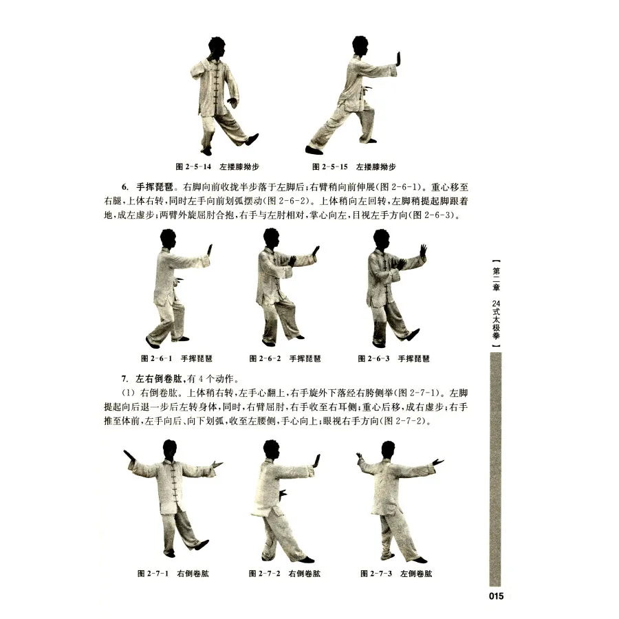 Bilingual Chinese Martial Arts Wu Shu Kung Fu Book by Dai Guobin in Chinese and English