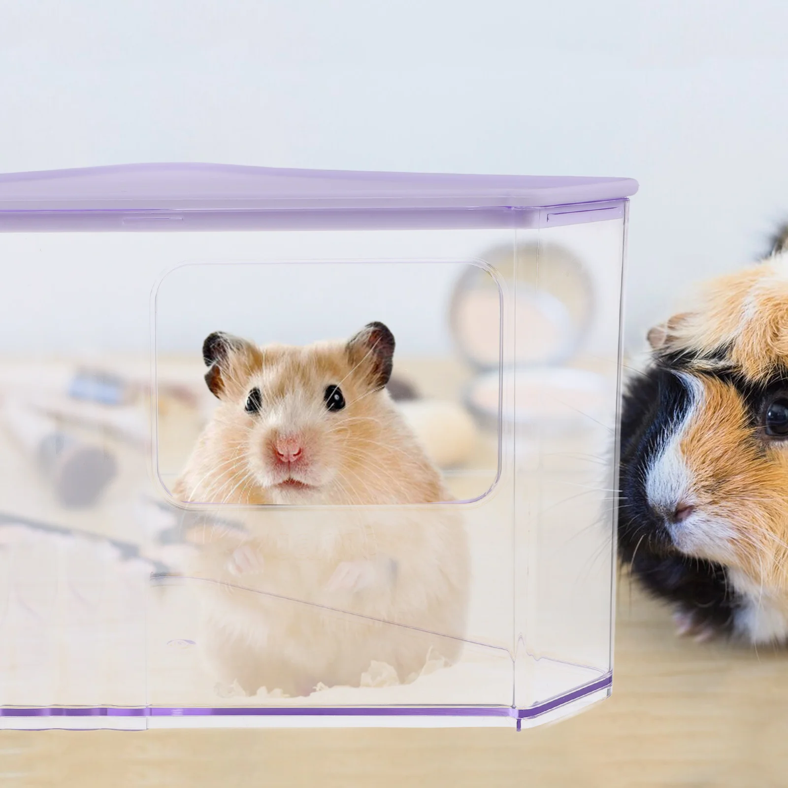 

Hamster Sand Bath and Litter Box Combo Transparent ABS Container for Small Animals Multi-Functional Toilet Bathroom Chinchilla