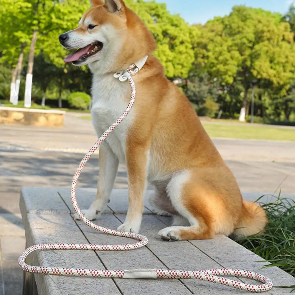

Dog Collar,Dog Leash Slip Rope Lead Leash with Comfortable Padde, Climbing Rope Heavy Duty Leash,for Medium Large Dogs