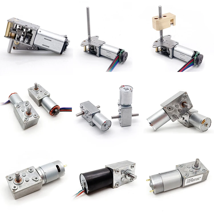 

Gearmotor 12v 24v 1220 3246 4058 Small N20 N30 370 555 100mNm 1Nm 5Nm High Torque Low Rpm Brush Brushless Custom Worm Gear Motor