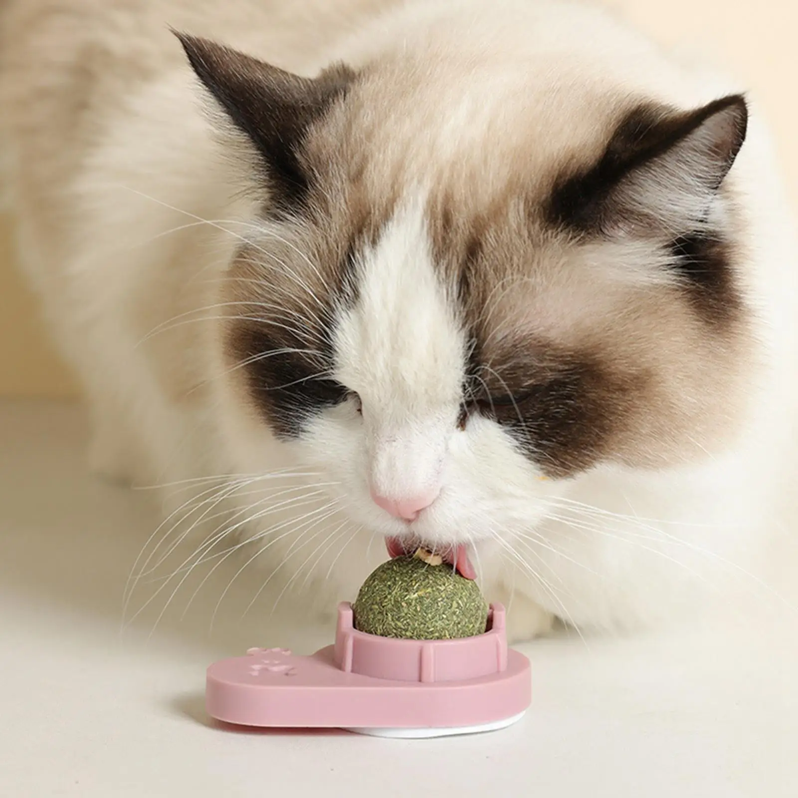 Catnip Mint Chew Ball Wall Toys 360 Degree Rotating Treats for Indoor Cats Teeth Care and Play