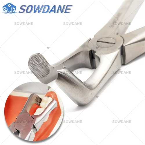 Imagen 2 del producto Alicates de extracción de dientes para adultos, fórceps de extracción de dientes de alta calidad, herramienta quirúrgica Dental