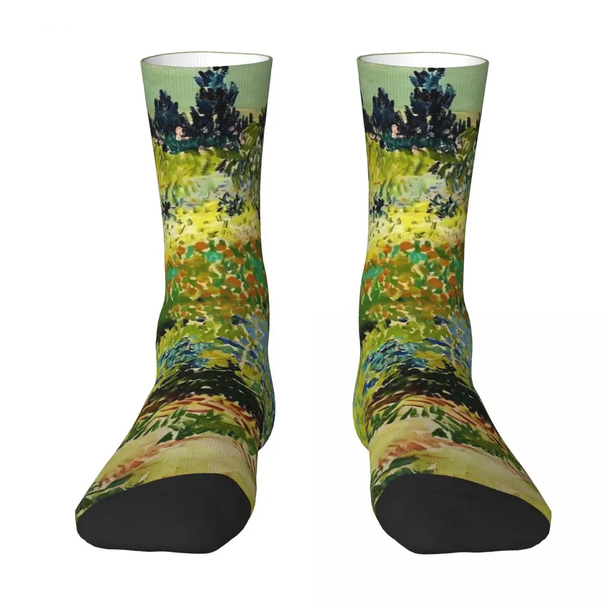 Van Gogh Socks Autumn Garden at Arles Stockings Trendy Women Men Comfortable Socks Graphic Skateboard Anti Skid Socks