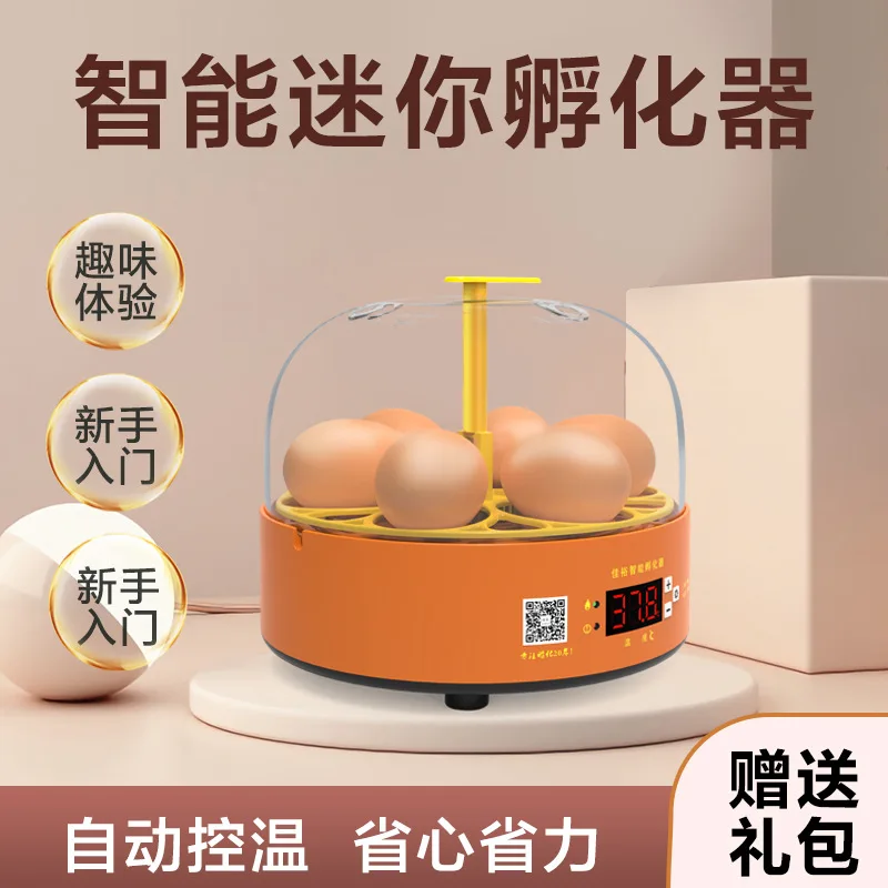 

Подходит для 6 автоматических инкубаторов, маленький домашний умный инкубатор, умный мини-инкубатор для курицы