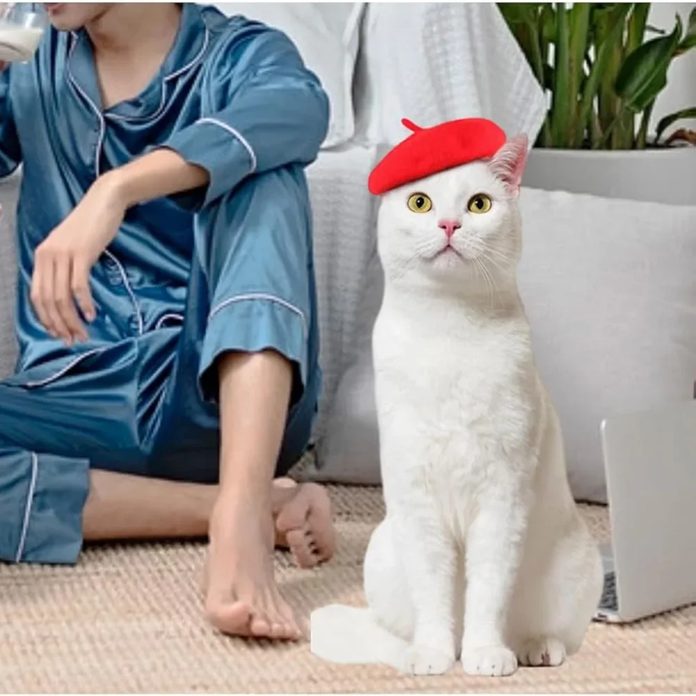 Wool Puppy Beret Adjustable Pet Hat for Cats Small Dogs Cute Beret Style Headwear for Kitten Comfortable Pet Fashion Accessories