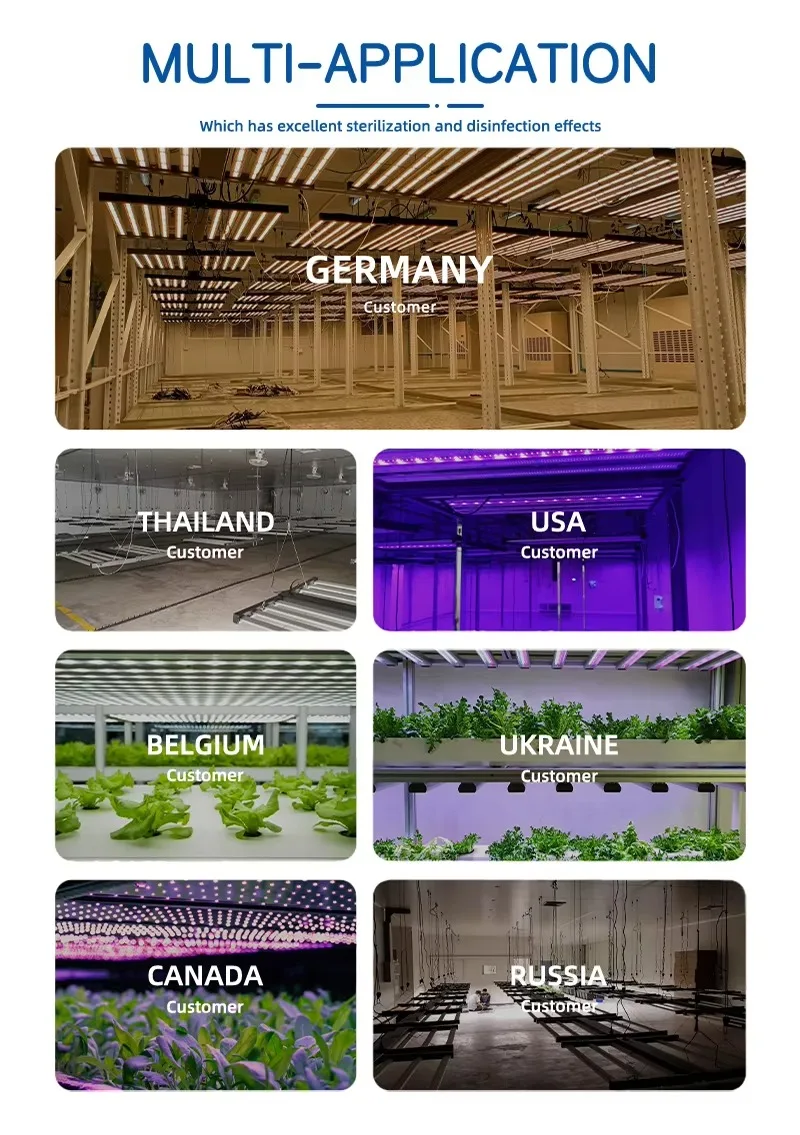 

240W Full Spectrum LED Grow Light Indoor Greenhouse Plant Growing High Performance Blue White Emission IP65