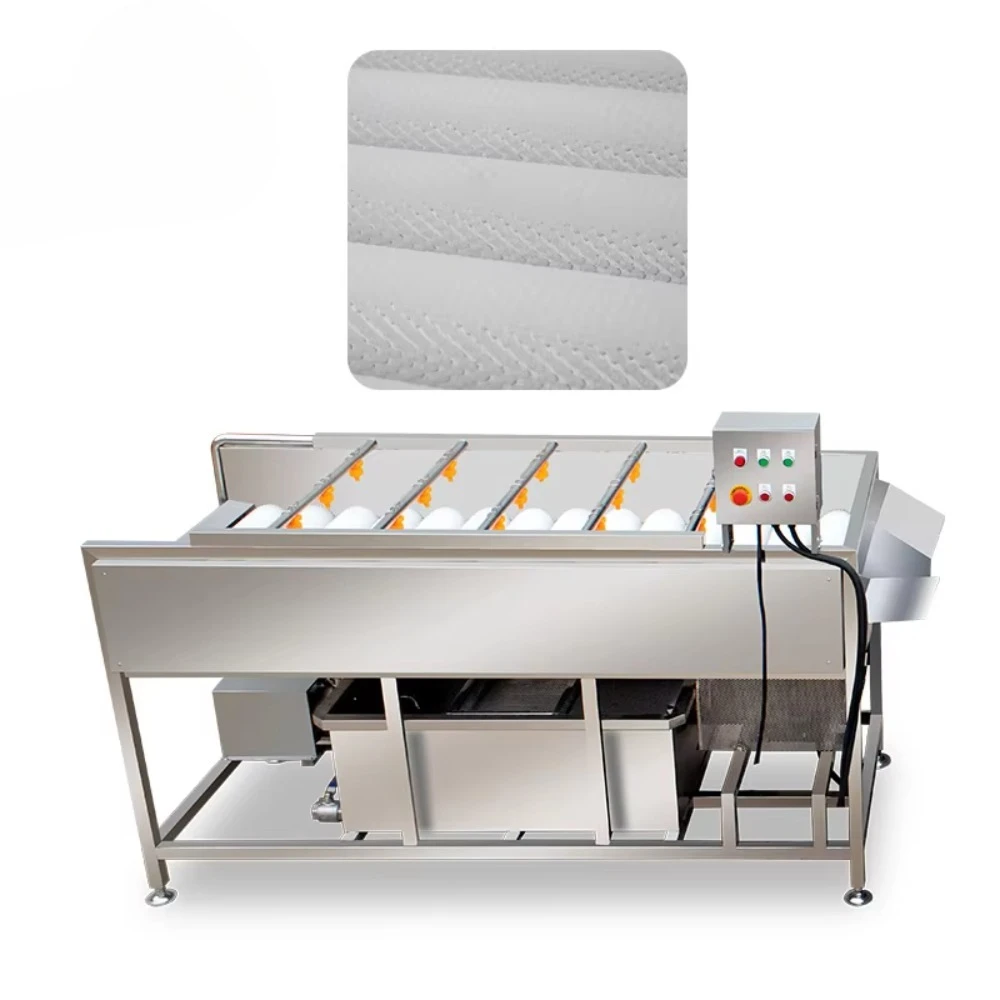 

Multifunctional Vegetable Tomato Parallel Roller Washer High Pressure Spray Fruit Washer TS-M100