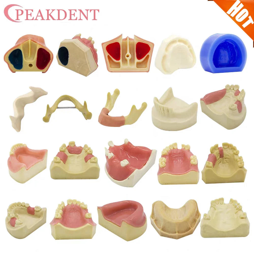 

1PCS Dental Model Teeth Implant Practice Model Tooth Dental Implant Model Training Display Dentistry Oral Teaching Models