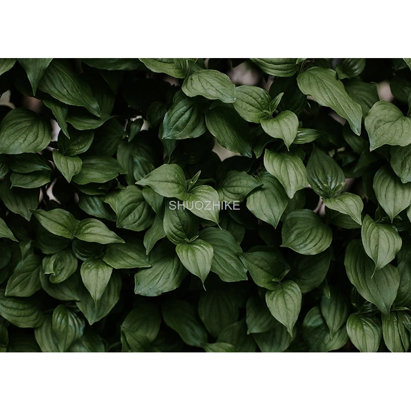 Fotorealistyczna tkanina naturalna sceneria fotografia tła drewniana podłoga łąkowa motyw Photo Studio tło rekwizyty 21812 DFZ-01