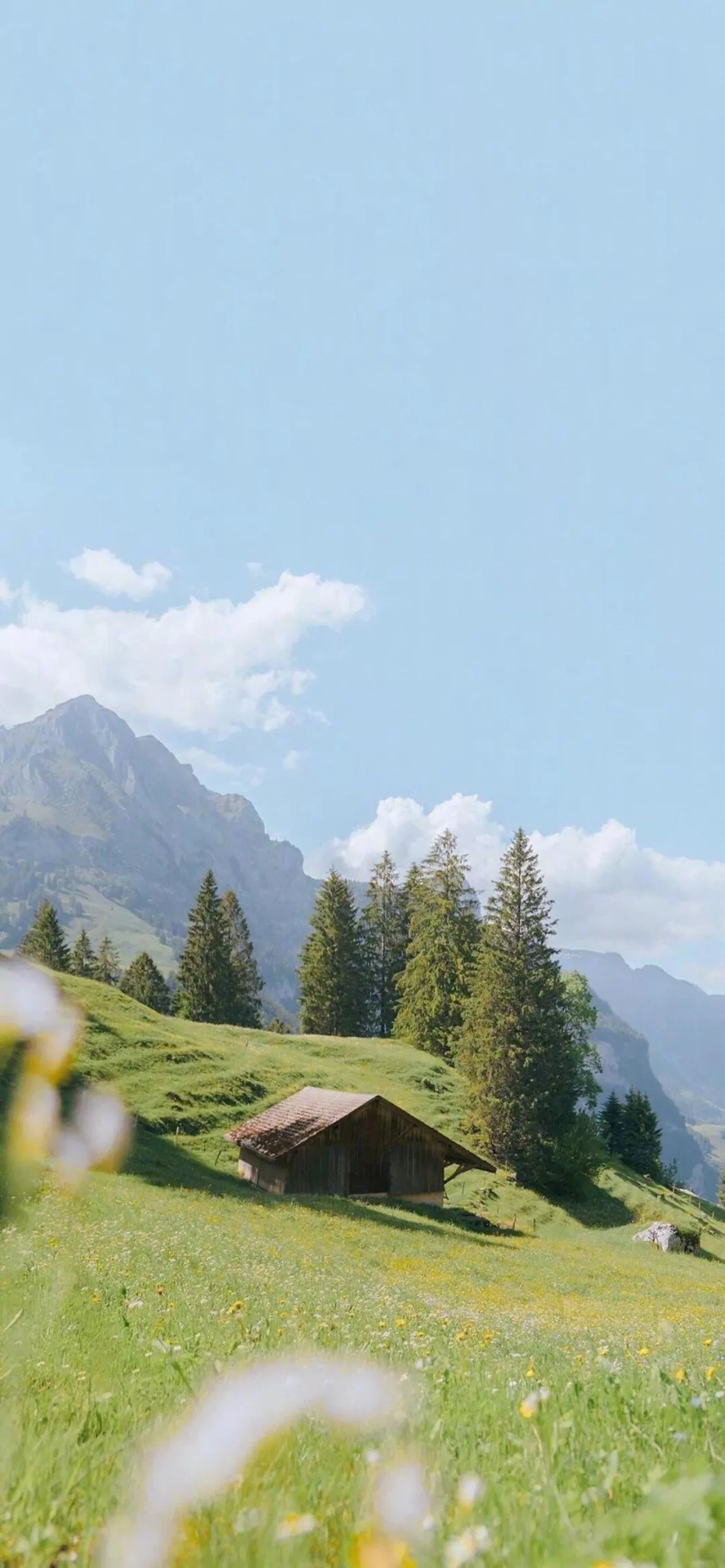 

8 шт. металлических передних и задних амортизаторов Trxs 1/7 UDR 8460 8450 для радиоуправляемой машины 1/7 Trxs Unlimited Desert Racer