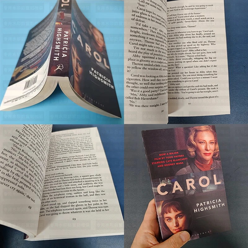 2025 the Price of Carol Salt Highsmith's English Novel - Education Teaching Literature Fiction