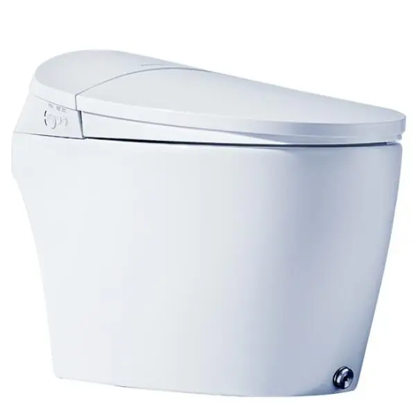 

Automatic Bidet Smart Intelligent Toilet Cover Ground Mounted