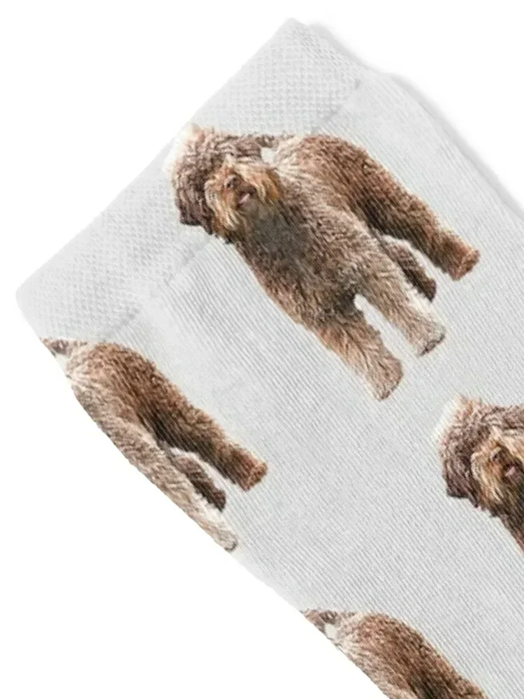 Lagotto Romagnolo - Italian Water Dog Socks Stockings compression sports and leisure Woman Socks Men's