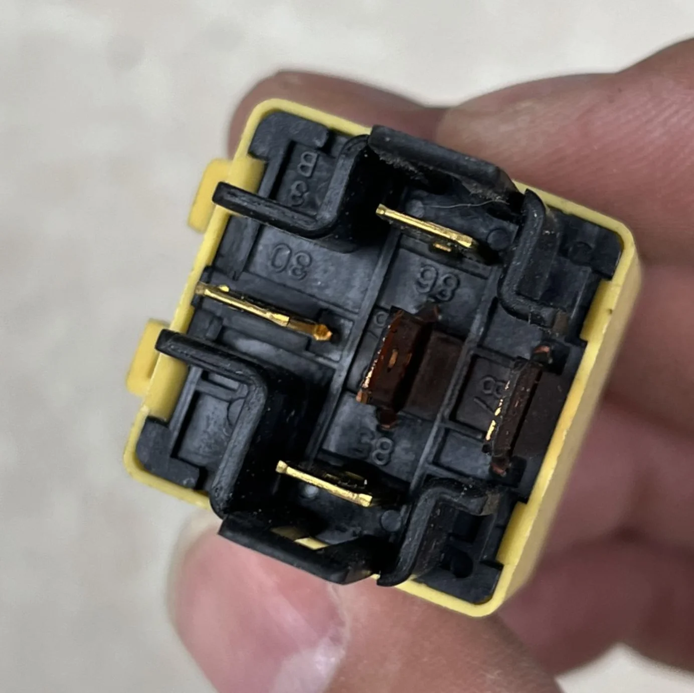 thumb
