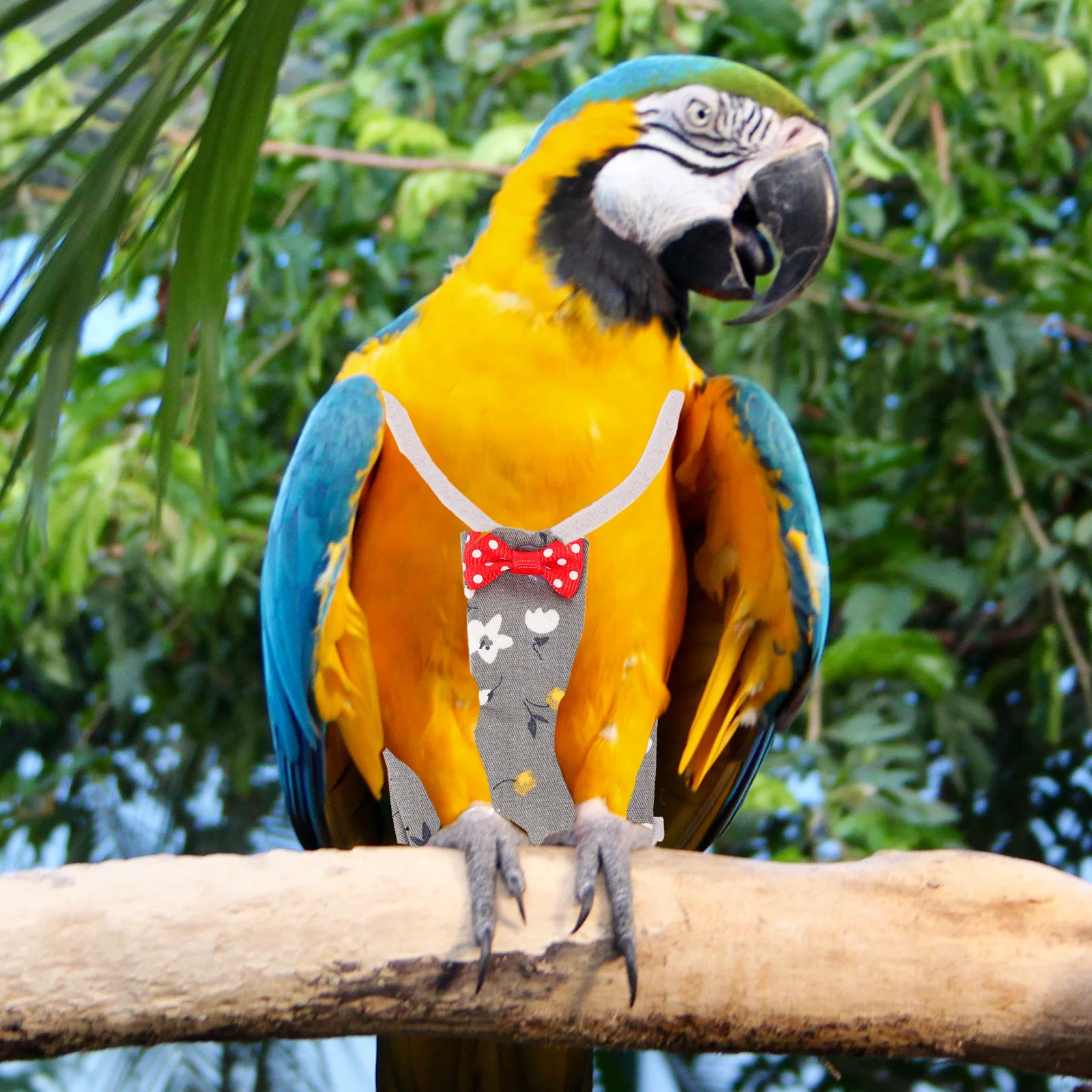 

Bird Diaper Washable Cotton Breathable Protective Parrot Flight Suit Liner Clothes for Small Parrots Bird Diapers