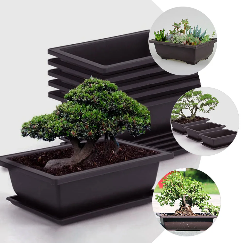 

5pcs Rectangular Flower Pots Plastic Bonsai Planter Small Succulent Pot Without Tray Decorative Container