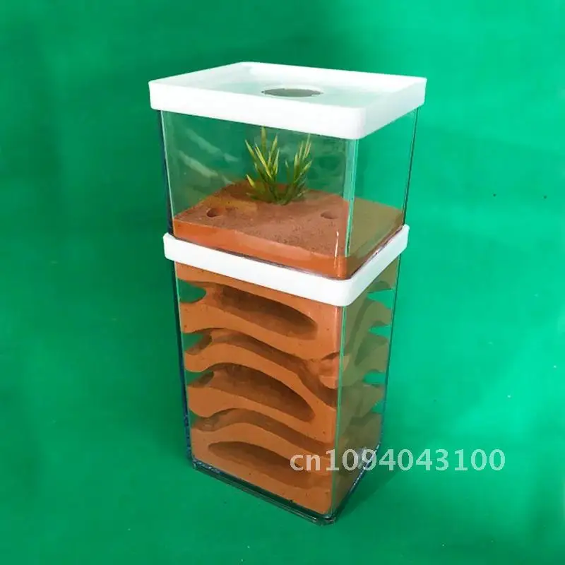 Plaster Ant Farm High Moisture Insect Hotel Castle Ecological Ant Feeding Area Workshop House with Pet Village Nest Anthill Ant