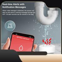 Tuya Wifi Water Leak Sensor Flood Leakage Detector With Sound Alarm 80Db IP55 Waterproof Water Sensor Remote Monitor-T44C