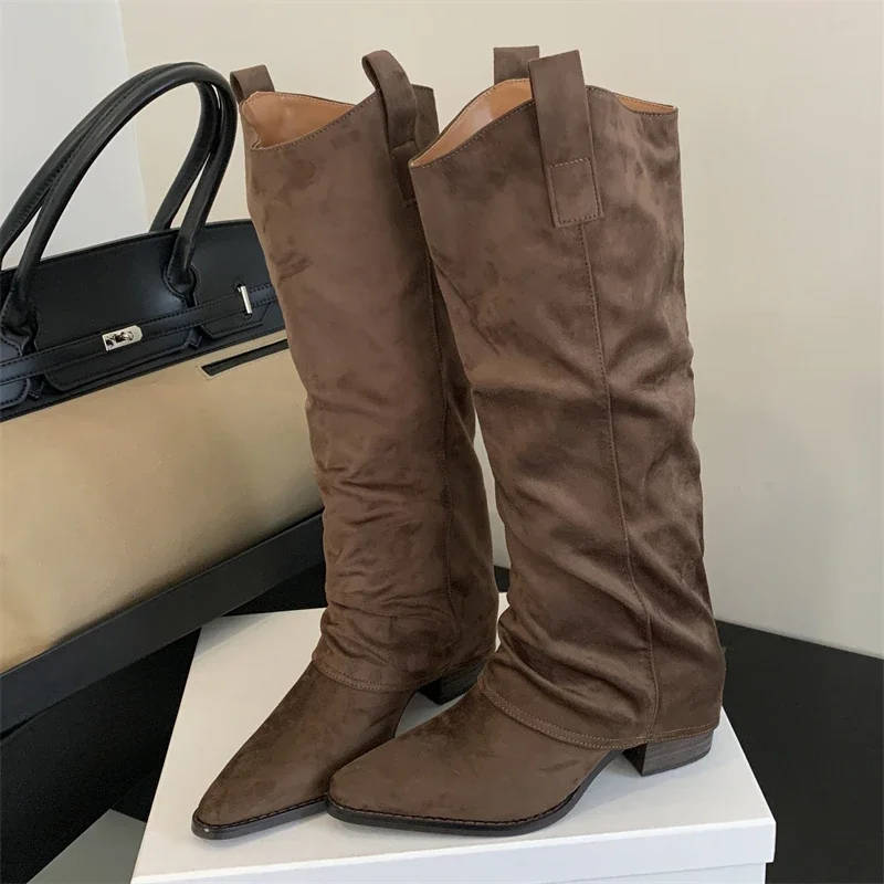 

Aneikeh/Винтажные сапоги до колена, женские плиссированные длинные ботильоны в стиле панк с острым носком, осенне-зимняя обувь на квадратном низком каблуке