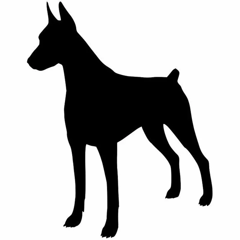 Doberman Pinscher Dog Window Decoration Vinyl Decal Car Bumper Stickers Black/Silver 11.9*15.2CM