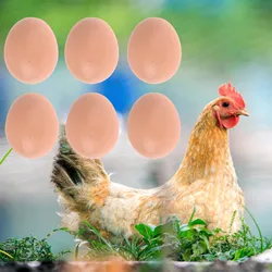 6 Pcs Mannequin Hatching Egg Hen Poultry Hatch Breeding Simulation Fake Plastic Artificial Eggs Encourage Hens To Lay Eggs