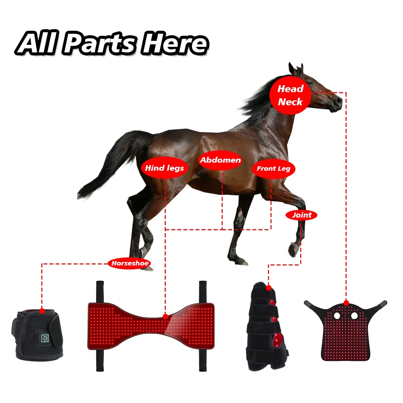 Czerwony Koń Terapia Światłem Czerwonym Czapka do Pomiar Terapii Światłem Czerwonym Ochrona Szyi Końskiej Opaska na Głowę Końskiej Dioda Emitująca Światło Terapia Czerwienią