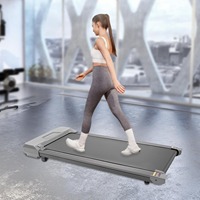 Flat-type Treadmill, 220V Electric LED Display 0.75HP Under Desk Portable Compact Incline Walking Pad for Home 220lbs Capacity