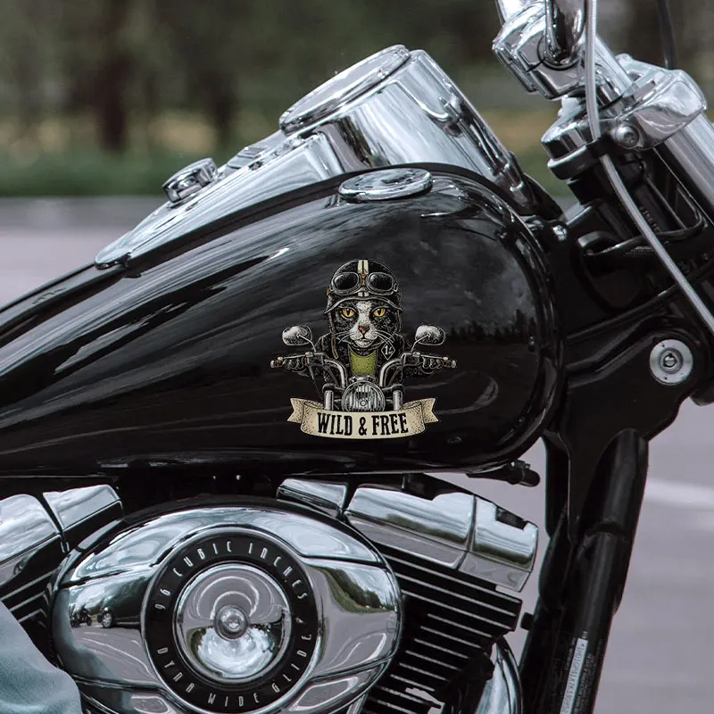 ملصقات القط لراكبي الدراجات النارية ، شارات فينيل قابلة للإزالة للدراجة النارية ، خزان الوقود ، خوذة الزجاج الأمامي ، الديكور الرائع #3