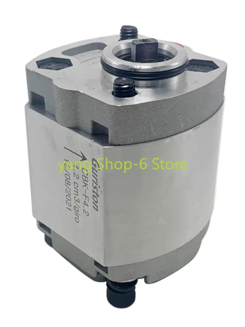 CBK Gear Pump CBK-F2.1/F1.6/F3.2/F4.8 Hydraulic Oil Pump Lifter Hydraulic Power Micro Gear Pump