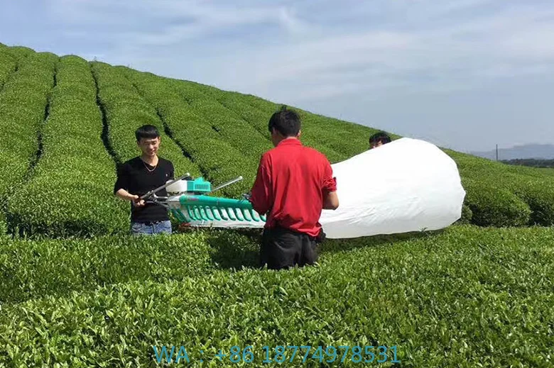 آلة فصل أوراق الشاي، آلة نتف الشاي، مزرعة زراعية، خفيفة الوزن، محمولة لشخص واحد