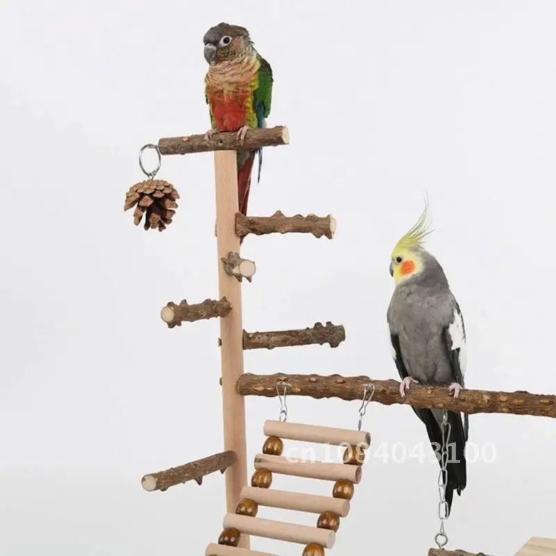 

Parrot Playstand Bird Plays Stand Cockatiel Playground Wooden Perch Metal Playground Feeder Toy with Gym Plate Ladder